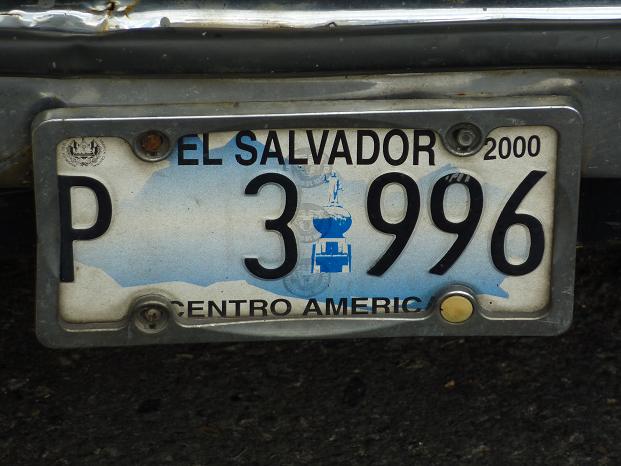 es plate.JPG